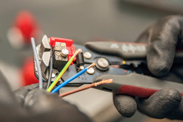 Best Electrician for Home Renovation  in Champlin, MN